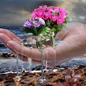 Meet your Posher, Barehan